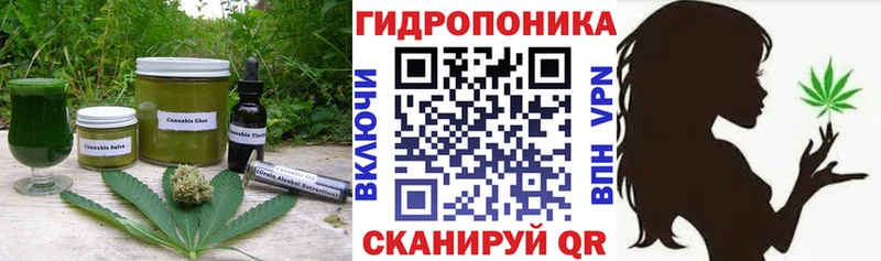 Canna-Cookies конопля  Феодосия 