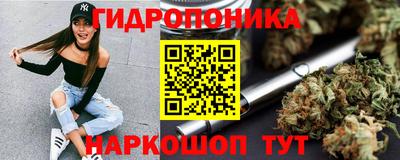 МДПВ Партизанск